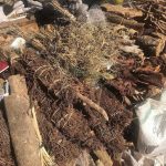images Skin Problem | Inkinga yesikhumba